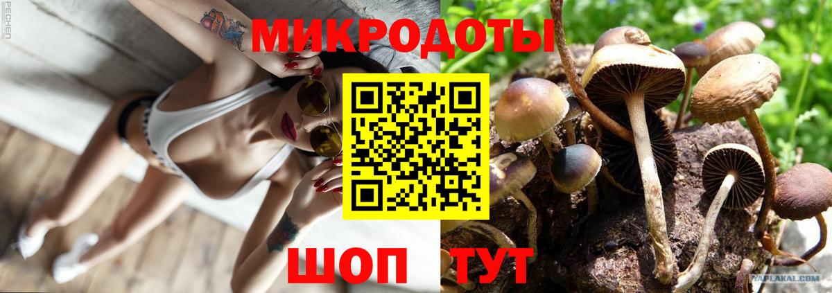 Галлюциногенные грибы ЛСД Кудымкар