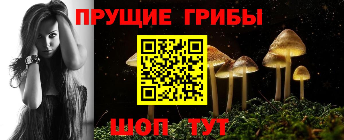 Галлюциногенные грибы прущие грибы  Псилоцибиновые грибы мухоморы  Кудымкар  Вход с VPN 